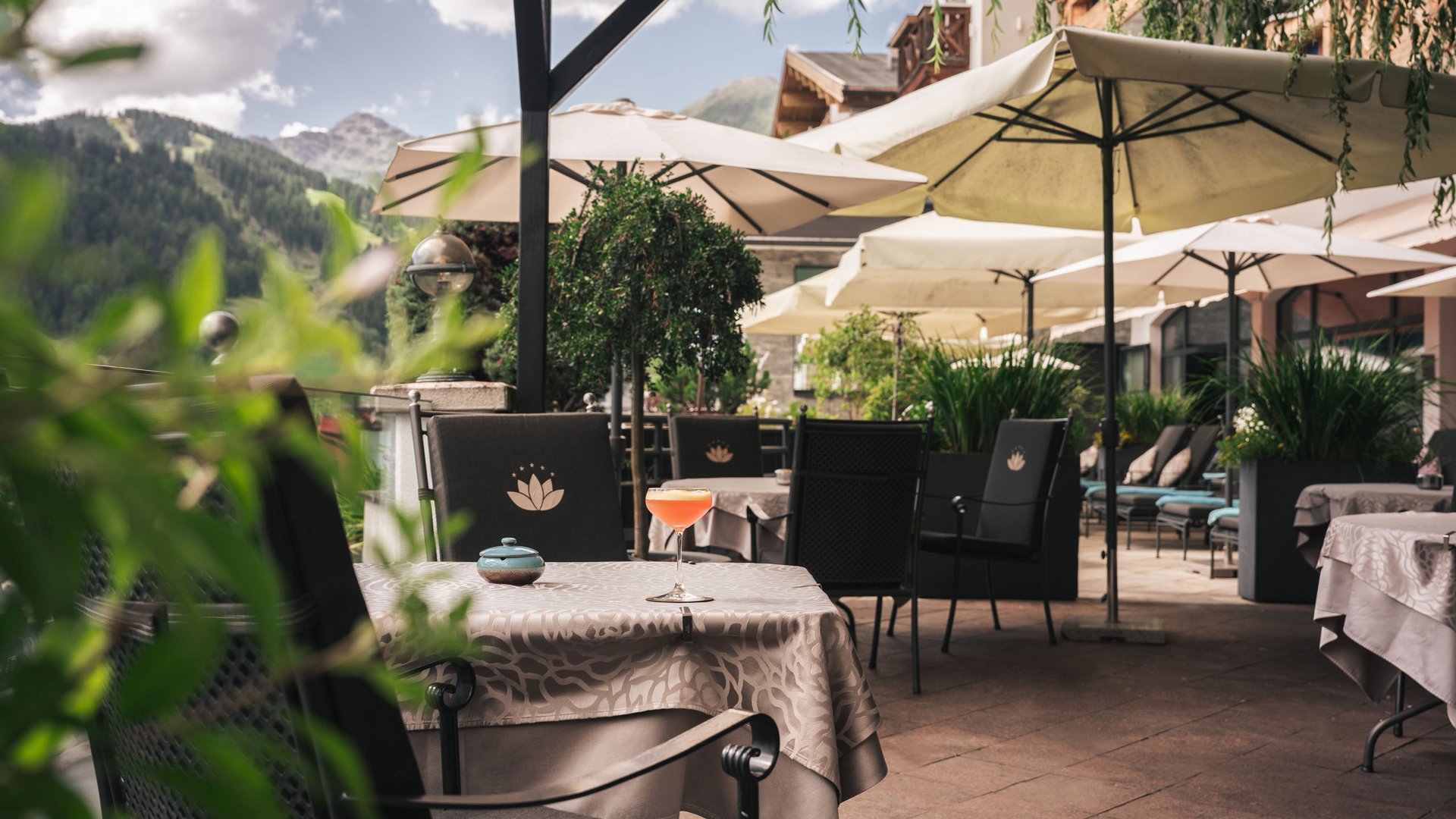 Open positions at Cervosa